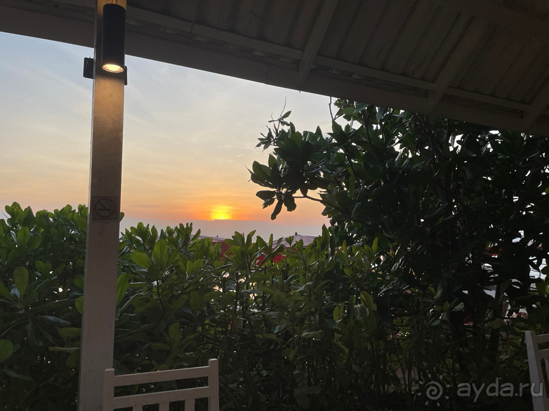 Выходные в Xanadu