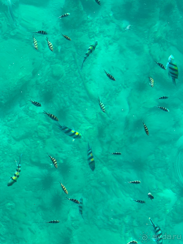 Выходные в Xanadu