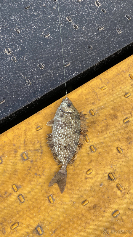 Хороший отдых для уединения