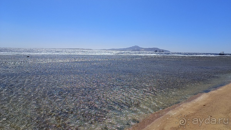 Рекомендую, возвращаемся снова и снова