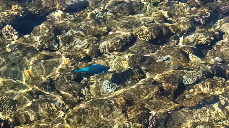 Рекомендую, возвращаемся снова и снова