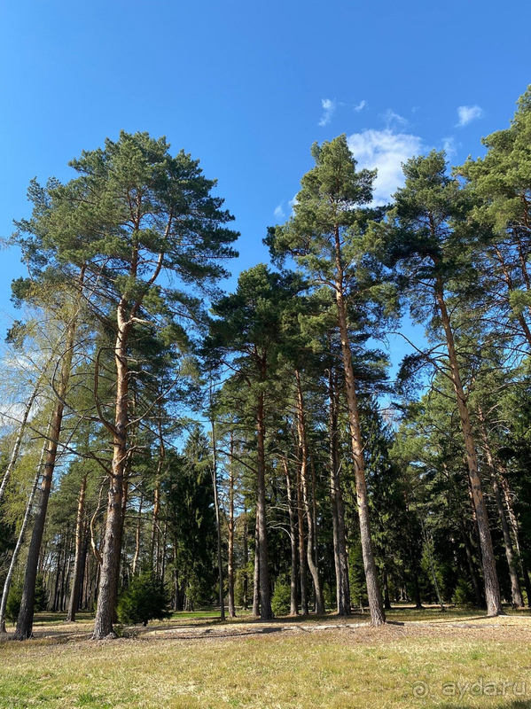 Невкусная еда за большие деньги