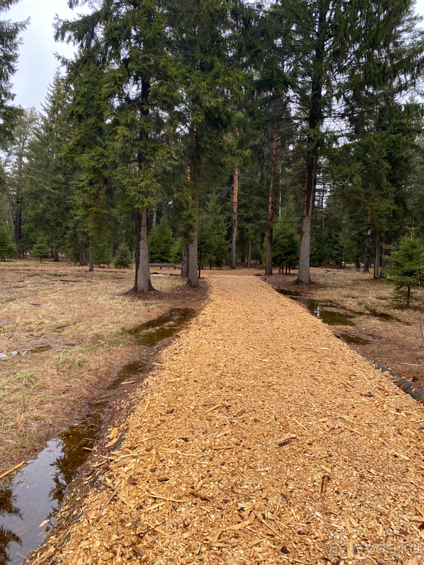 Лучший отель для отдыха с детьми!