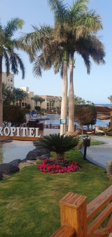 Спасибо за наш чудесный отдых! Очень хочется вернуться еще!