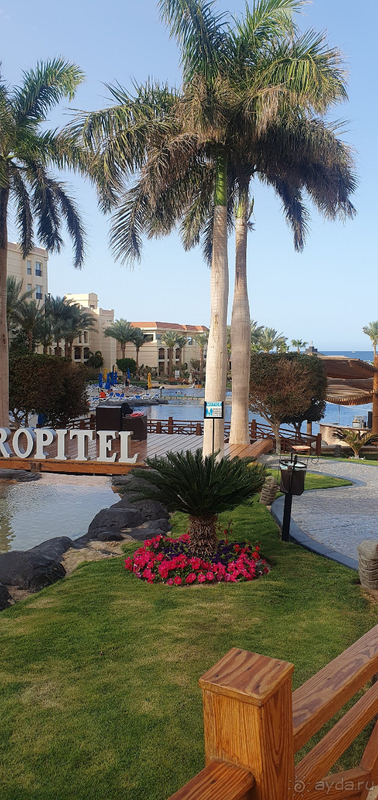 Спасибо за наш чудесный отдых! Очень хочется вернуться еще! Спасибо за наш чудесный отдых! Очень хочется вернуться еще!