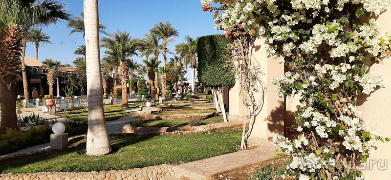 Отдых в Ali Baba Palace Отдых в Ali Baba Palace