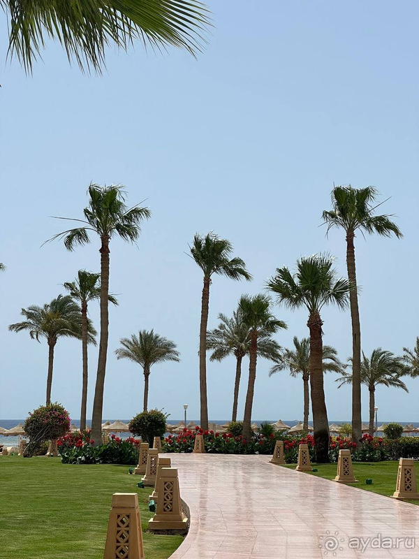 Шикарный отдых!)