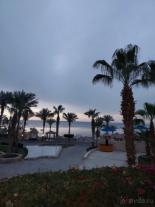 Хилтон держит марку! Отель рекомендую!