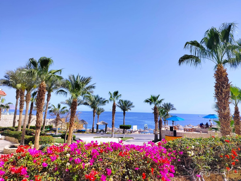 Хилтон держит марку! Отель рекомендую! Хилтон держит марку! Отель рекомендую!