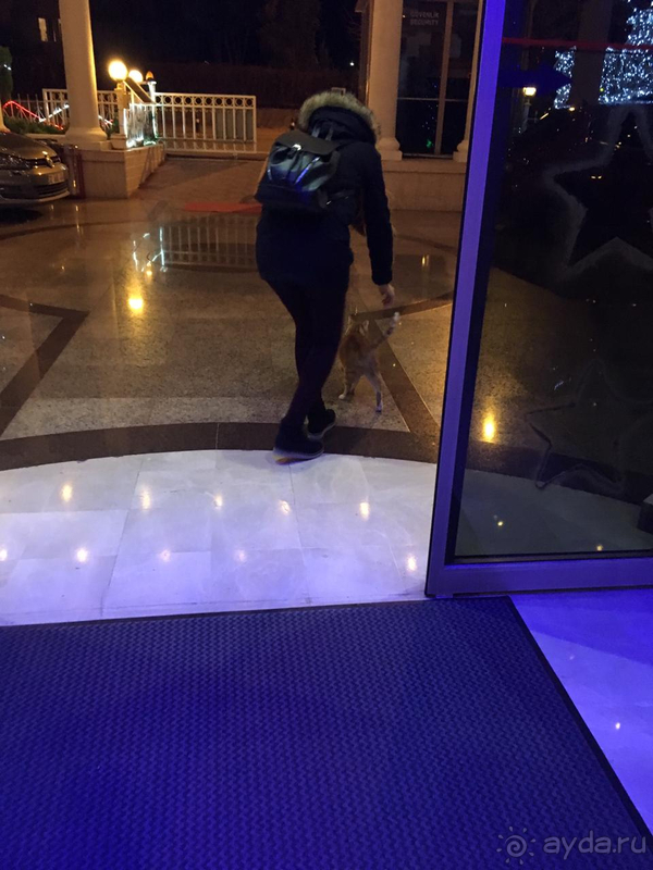 Шикарные виды, хорошее расположение и грубоватый персонал Шикарные виды, хорошее расположение и грубоватый персонал