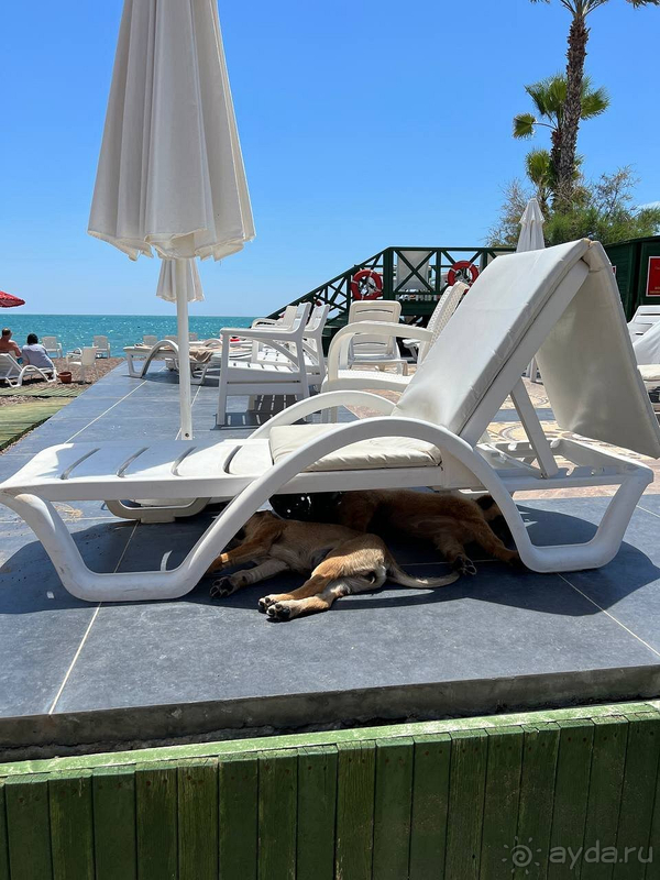 Альбом отзыва "Лучший отель в котором я отдыхала во всей Турции! а была я в Турции раз 15))"