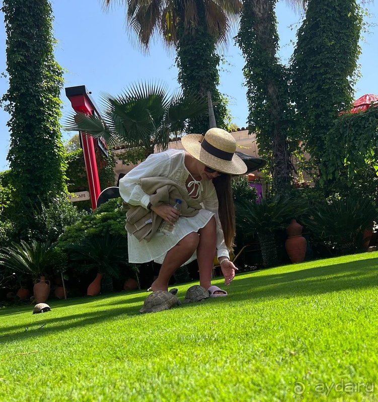 Лучший отель в котором я отдыхала во всей Турции! а была я в Турции раз 15))