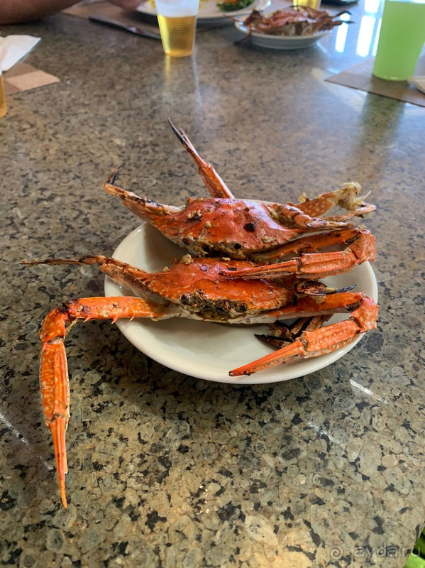 Любимый SETI SHARM