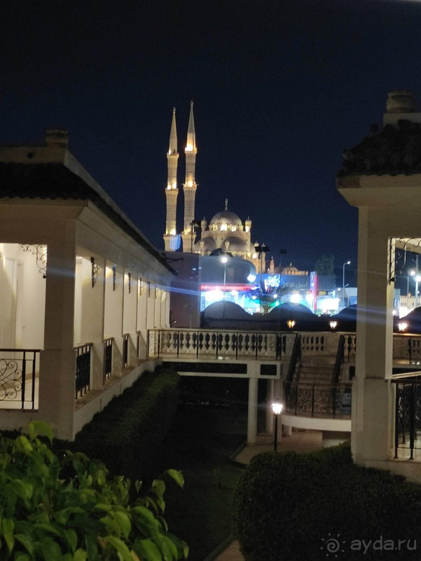 Любимый SETI SHARM