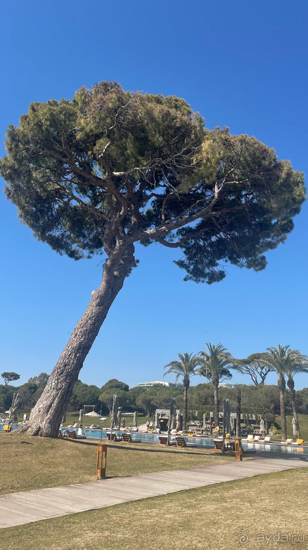 Thank you, Rixos Premium Belek!