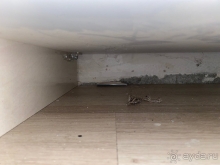 Думайте сами, решайте сами.