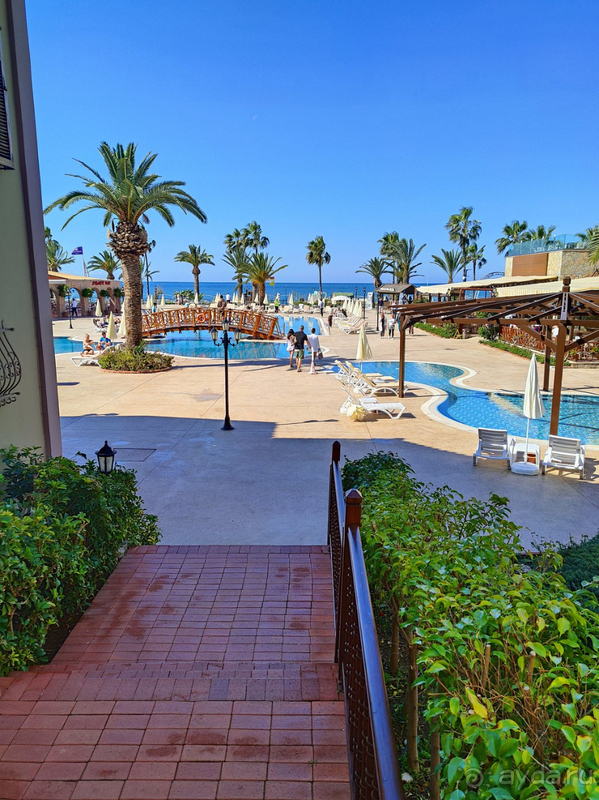 фото Gypsophila Holiday Village