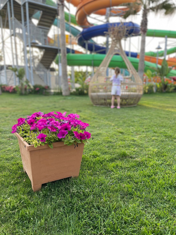 Прекрасный отель для отдыха с детьми