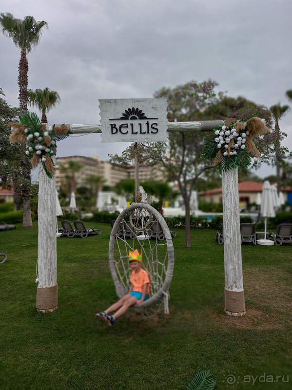 Возвращение в Bellis,в летнюю концепцию...