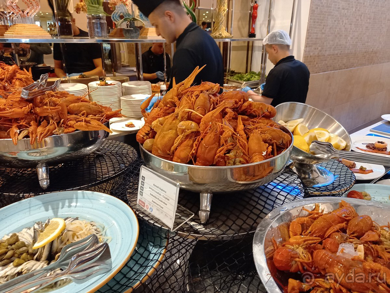 Возвращение в Bellis,в летнюю концепцию...