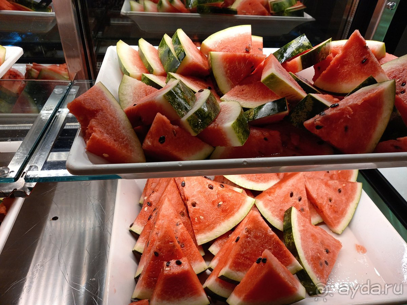 Возвращение в Bellis,в летнюю концепцию...