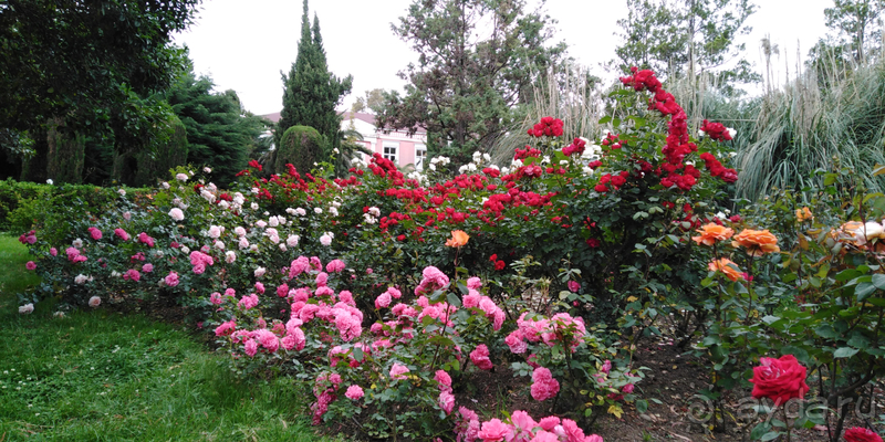 Санаторий Южное Взморье Сочи район Адлер