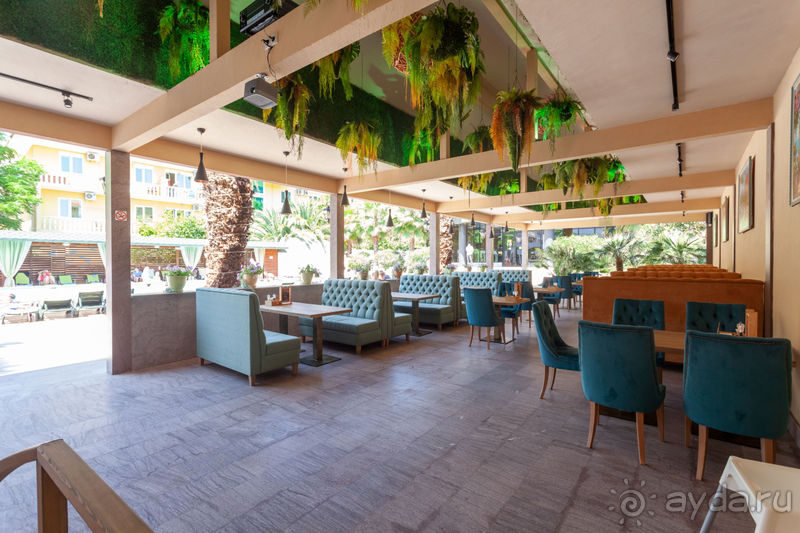 Очень приятный отель Экодом Адлер 4