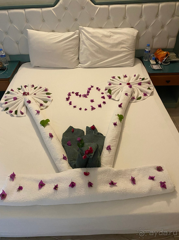 Идеальная четвёрка!