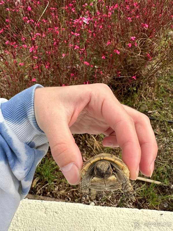 Идеальная четвёрка!