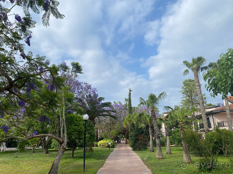 Хорошая пятерка среднего уровня Хорошая пятерка среднего уровня