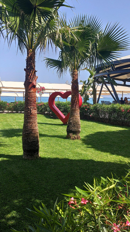 ВТОРАЯ ПОЕЗДКА В ЛЮБИМЫЙ SEVEN SEAS HOTEL LIFE 5*