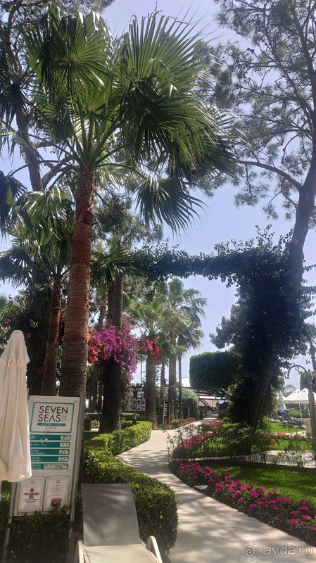 ВТОРАЯ ПОЕЗДКА В ЛЮБИМЫЙ SEVEN SEAS HOTEL LIFE 5*