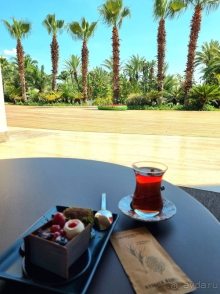 Отпуск в июне. Отпуск в июне.