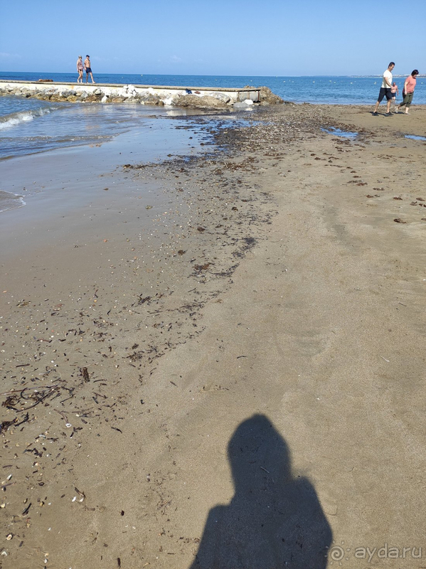 В целом все очень прилично, но есть моменты.