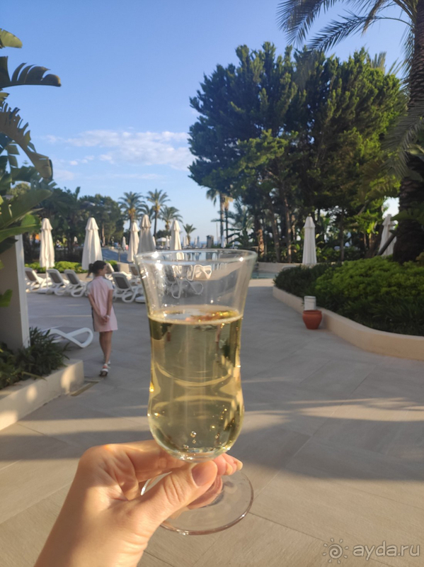 В целом все очень прилично, но есть моменты.