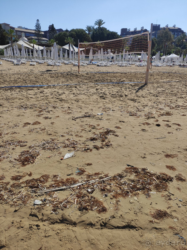 В целом все очень прилично, но есть моменты.