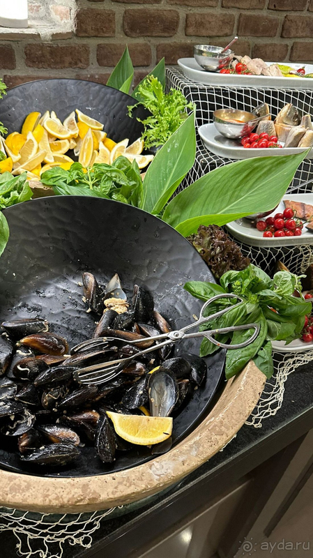 Королевский отдых в Rixos Premium Belek