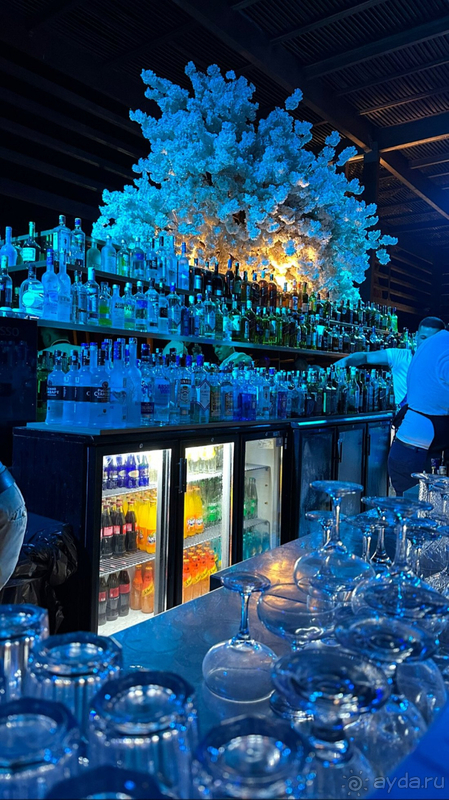 Королевский отдых в Rixos Premium Belek