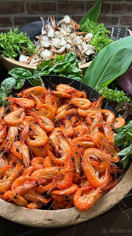 Королевский отдых в Rixos Premium Belek