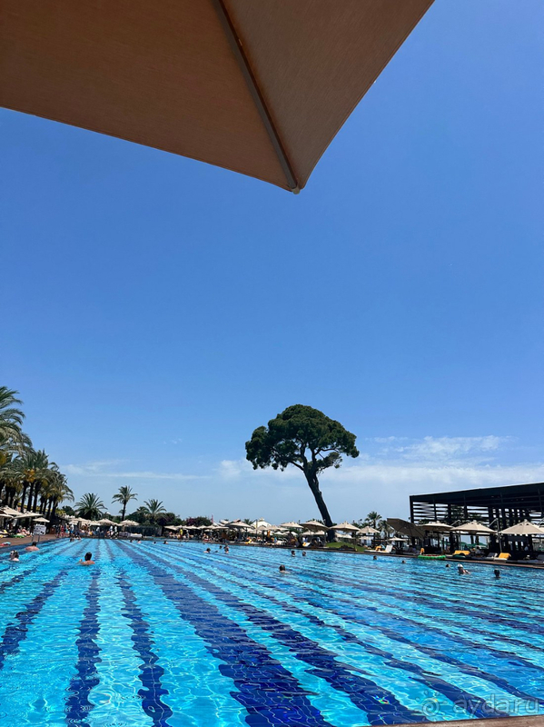 Королевский отдых в Rixos Premium Belek