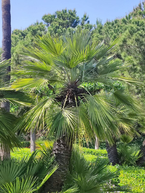 Лучшие 7 дней в Турции :) Лучшие 7 дней в Турции :)