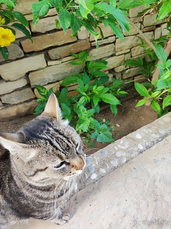 Лучшие 7 дней в Турции :)