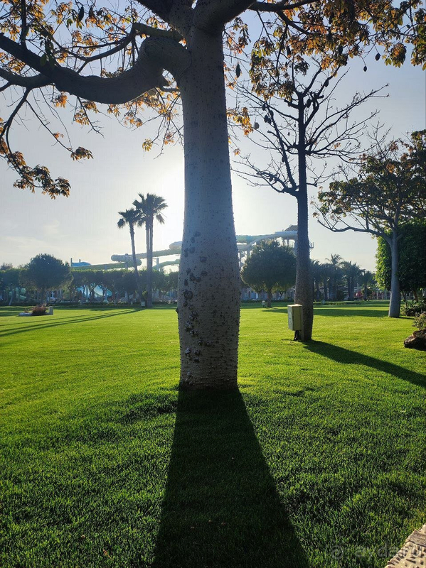 Лучшие 7 дней в Турции :) Лучшие 7 дней в Турции :)