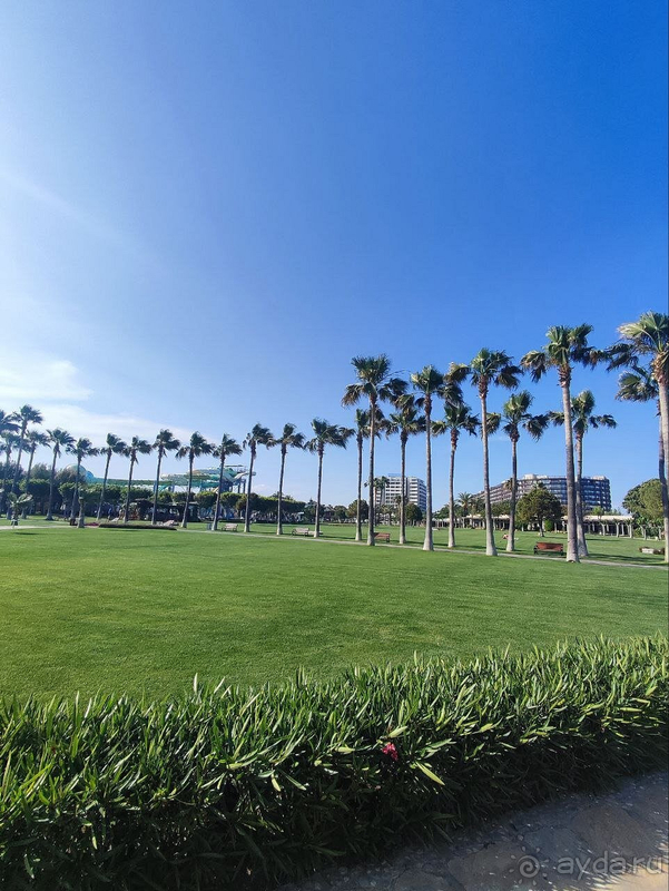 Лучшие 7 дней в Турции :)