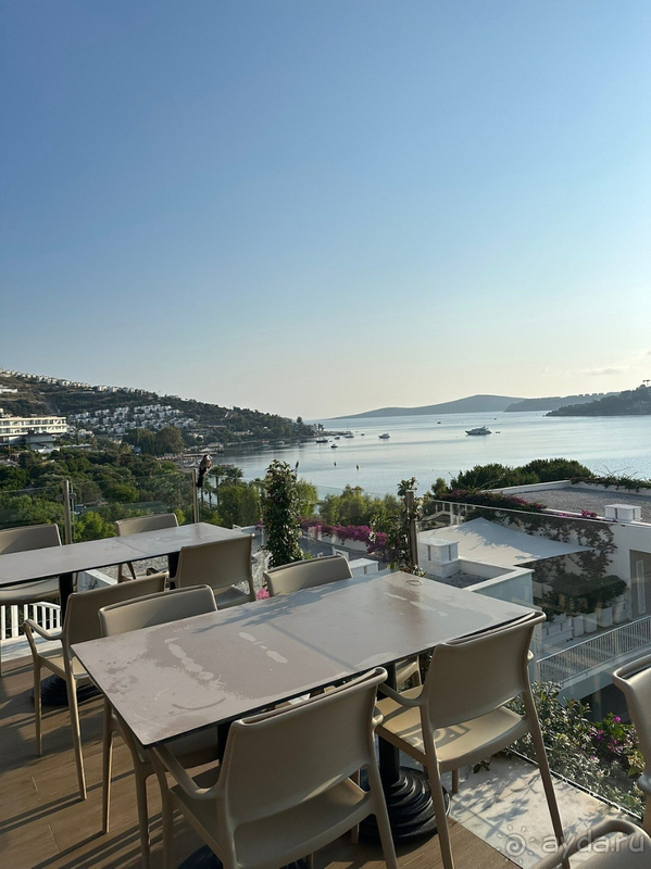 Альбом отзыва "Идеально 🫶🏻"