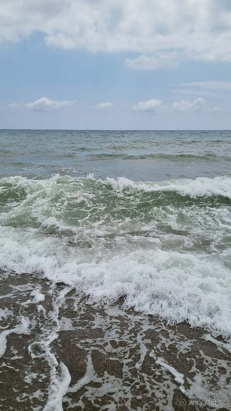 Сервис надо дорабатывать