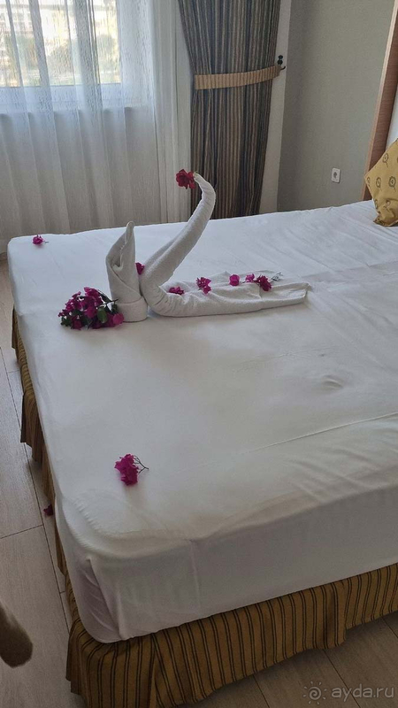 Сервис надо дорабатывать