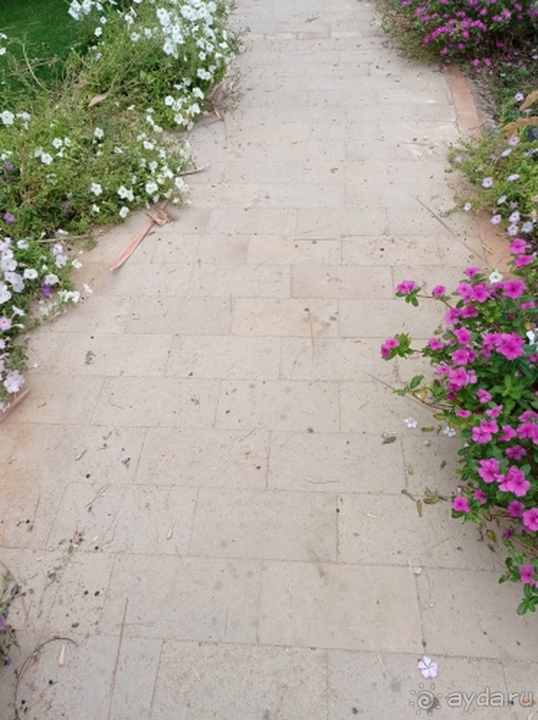 Ещё раз туда не поедем, и другим рекомендовать тоже не будем.