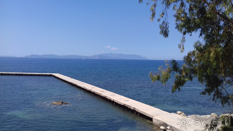 фото Arora Hotel