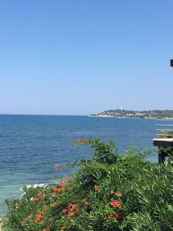 фото Arora Hotel